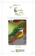 O pássaro encantado